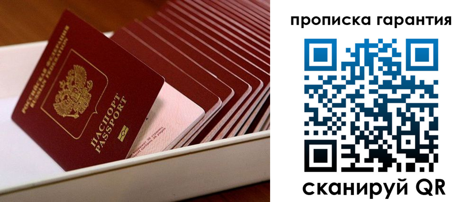 прописка поиск в Великих Луках
